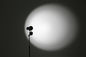 Видео СИД фото студии фокуса 50D освещает CRI дневного света 5600K высокой интенсивности/TLCI 96